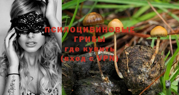 стафф Магадан