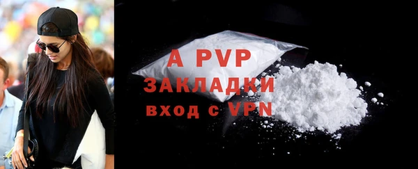 стафф Магадан