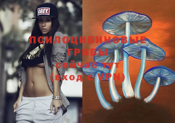 синтетический гашиш Медногорск