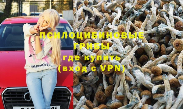 стафф Магадан