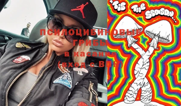 стафф Магадан