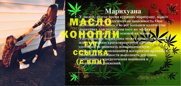 шишки Бабаево
