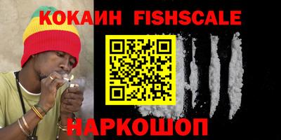 дмт Гай