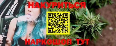 дмт Гай