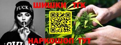 дмт Гай
