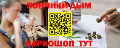 дмт Гай