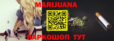 дмт Гай