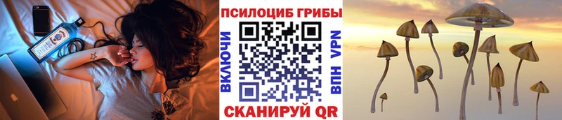 где найти наркотики Туймазы Псилоцибиновые грибы мицелий
